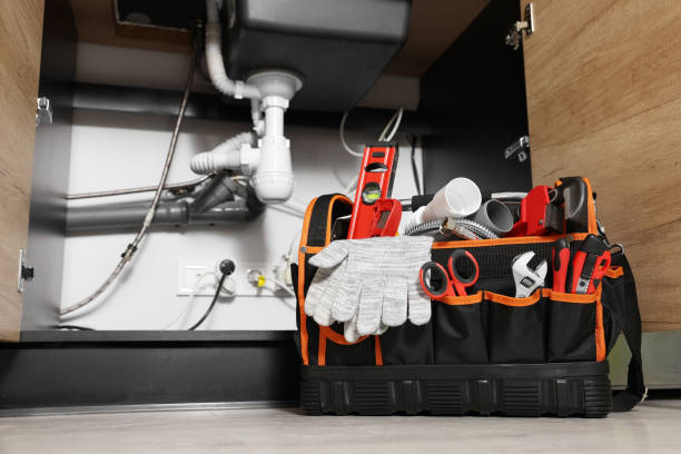 Best Plumbing Repair Near Me  in Park Forest, IL