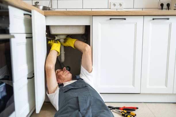  Park Forest, IL Plumbing Pros